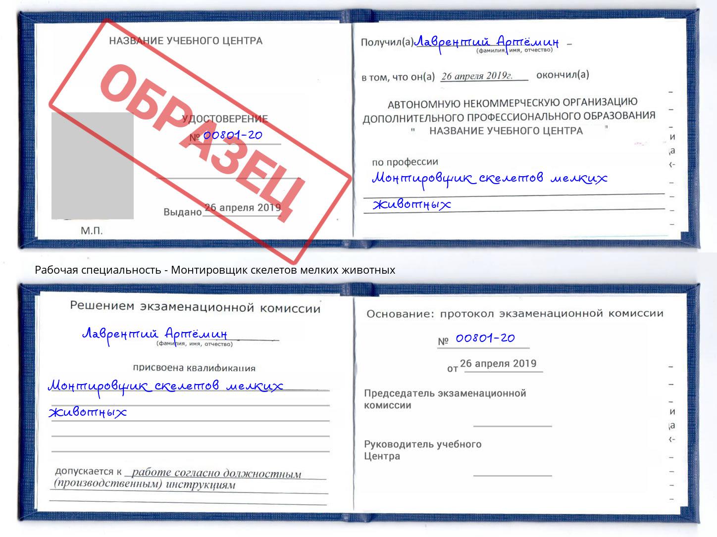 Монтировщик скелетов мелких животных Углич