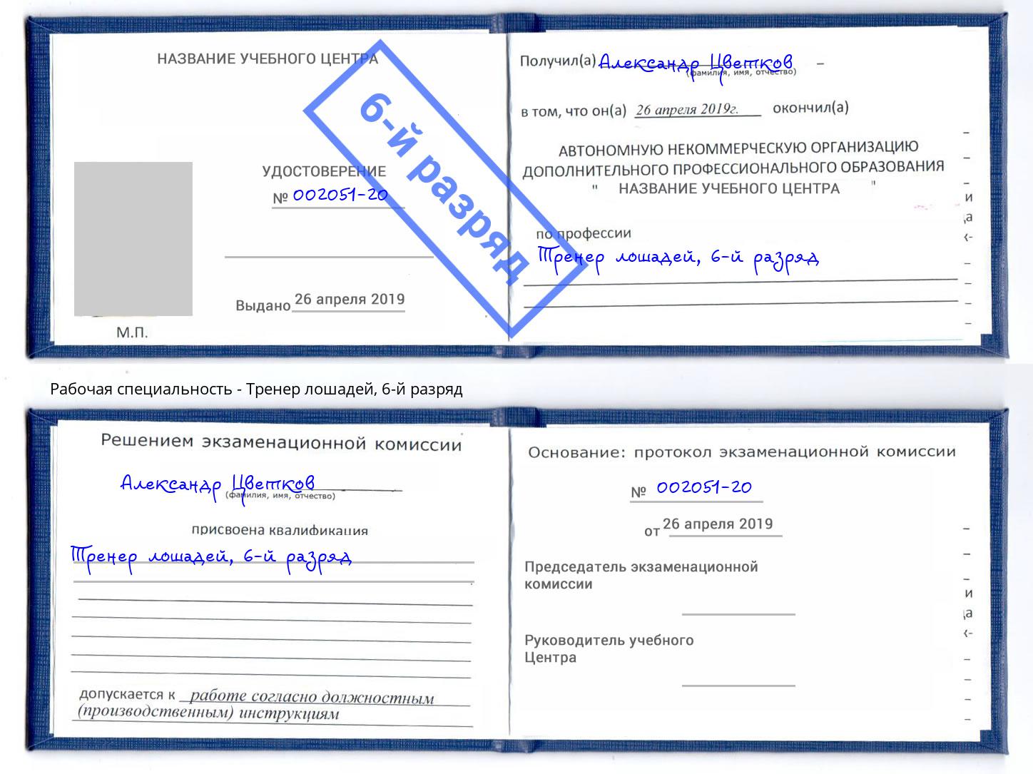 корочка 6-й разряд Тренер лошадей Углич