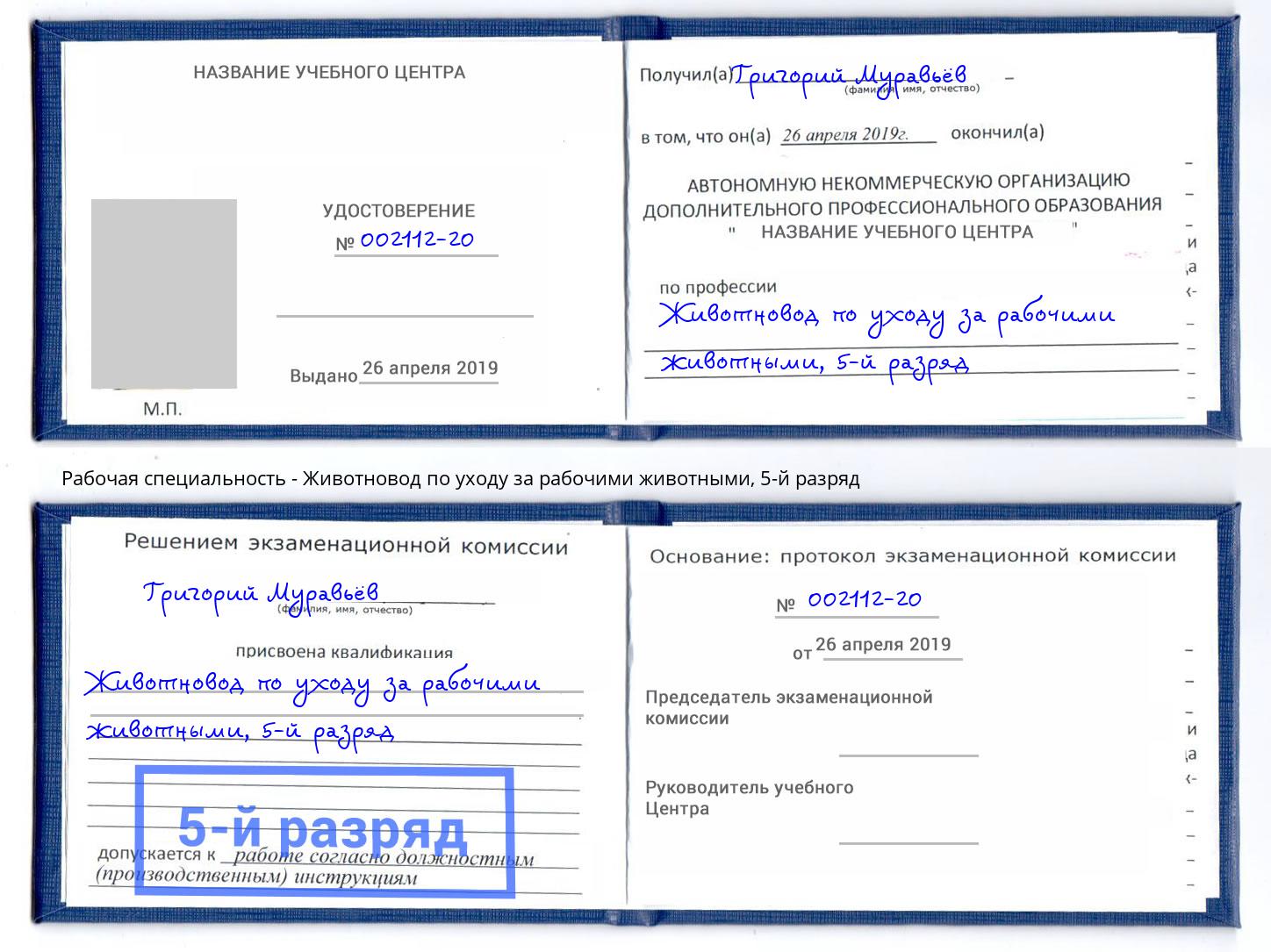 корочка 5-й разряд Животновод по уходу за рабочими животными Углич
